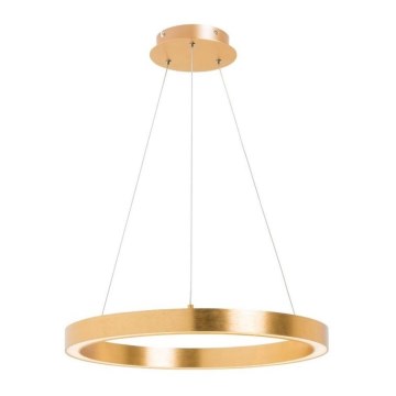 Zuma Line - LED luster na sajli LED/40W/230V pr. 50 cm zlatna