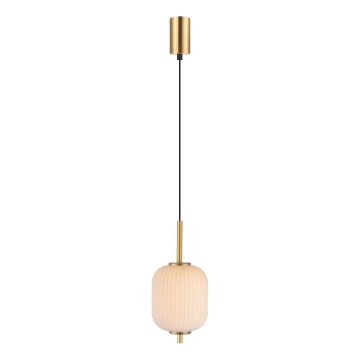 Zuma Line - LED luster na sajli LED/6,5W/230V prečnika 13 cm zlatna