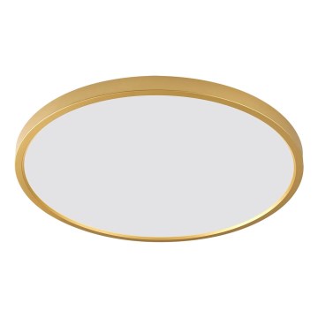 Zuma Line - LED plafonsko svetlo LED/36W/230V 3000/4000/6000K prečnik 40 cm zlatna