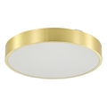 Zuma Line - LED prigušiva kupatilska plafonska svetiljka LED/36W/230V 3000-6000K pr. 40 cm IP44 zlatna + daljinski upravljač
