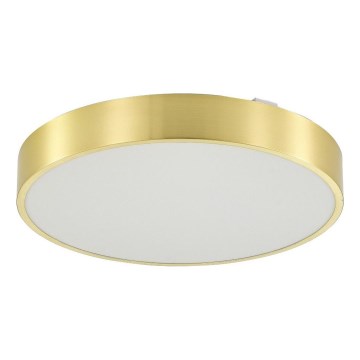 Zuma Line - LED prigušiva kupatilska plafonska svetiljka LED/36W/230V 3000-6000K pr. 40 cm IP44 zlatna + daljinski upravljač