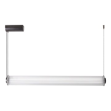 Zuma Line - LED prigušiva luster na sajli LED/39W/230V 2700-6500K crna + daljinski upravljač