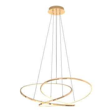 Zuma Line - LED prigušiva luster na sajli LED/56W/230V zlatan