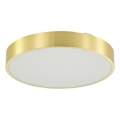 Zuma Line - LED prigušiva plafonska lampa za kupatilo LED/50W/230V 3000-6000K prečnik 50 cm IP44 zlatna + daljinski upravljač