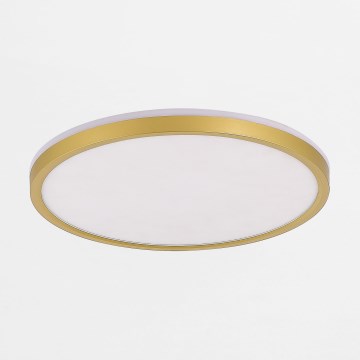 Zuma Line - LED prigušiva plafonska svetiljka LED/38W/230V + LED/11W 3000/4000/5500K, prečnik 50 cm, zlatna