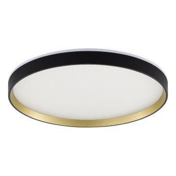 Zuma Line - LED RGBW prigušiva plafonska svetiljka LED/32W/230V + LED/8W 3000-6000K crna/zlatna + daljinski upravljač