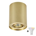 Zuma Line - LED RGBW prigušiva spot svetiljka 1xGU10/4,8W/230V zlatna sa daljinskim upravljačem