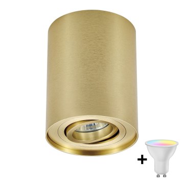Zuma Line - LED RGBW prigušiva spot svetiljka 1xGU10/4,8W/230V zlatna sa daljinskim upravljačem