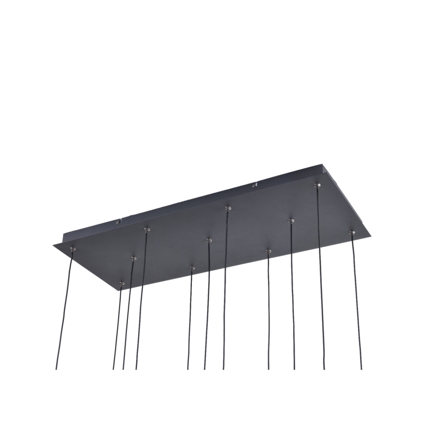 Zuma Line - LED luster na sajli 11xLED/3W/230V, crne boje