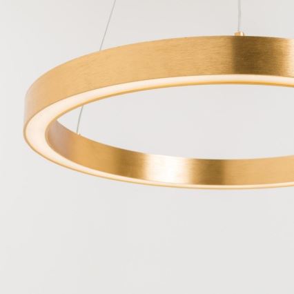Zuma Line - LED luster na sajli 1xLED/30W/230V 40 cm zlatan