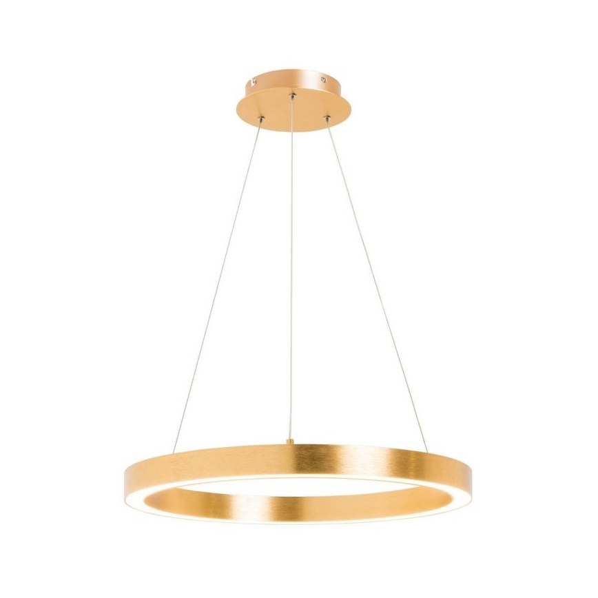 Zuma Line - LED Luster na sajli 1xLED/40W/230V pr. 50 cm zlatna