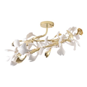 Zuma Line - Plafonski luster 6xG9/42W/230V prečnik 70 cm zlatna