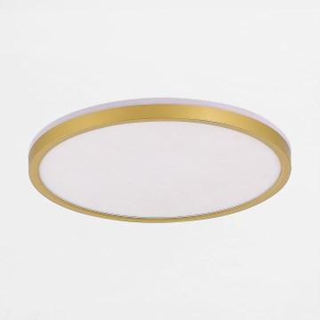 Zuma Line - Prigušiva LED plafonska svetiljka LED/26,5W/230V + LED/6,5W 3000/4000/5500K prečnik 32 cm zlatna