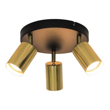 Zuma Line - Spot svetiljka 3xGU10/50W/230V