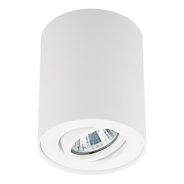 Zuma Line - Spot svetlo 1xGU10/50W/230V bela