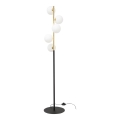Zuma Line - Stojeća lampa 5xG9/40W/230V