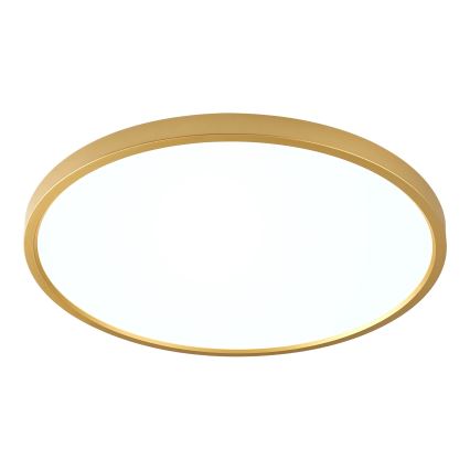 Zuma Line - LED plafonsko svetlo LED/36W/230V 3000/4000/6000K prečnik 40 cm zlatna