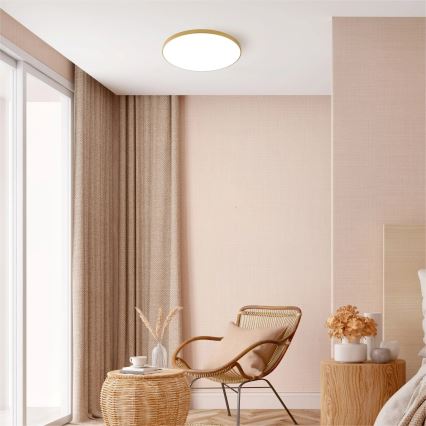 Zuma Line - LED stropno svetlo LED/32W/230V, prečnik 37 cm, zlatno